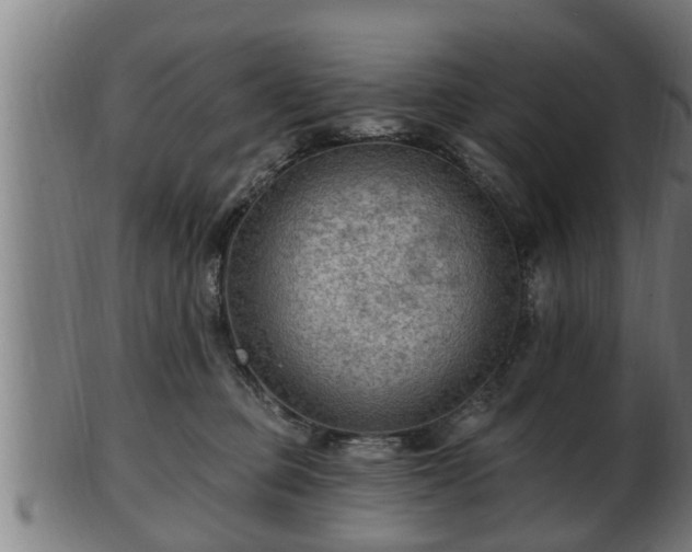 X0000103320373200809121153