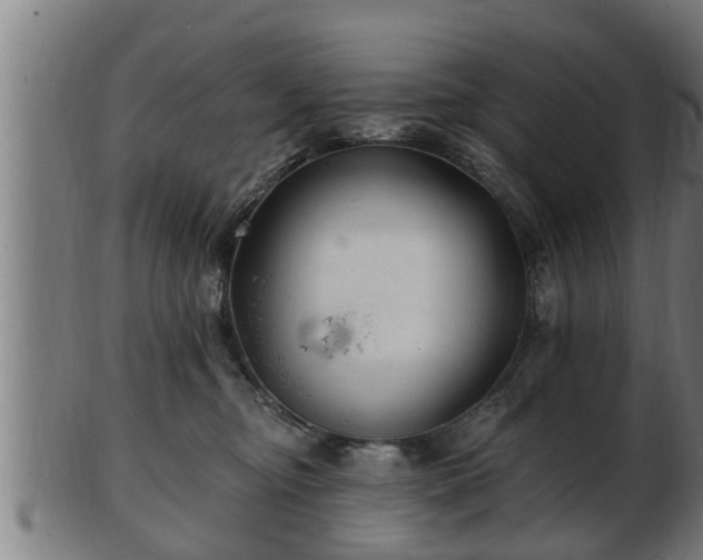 X0000103320374200809121153