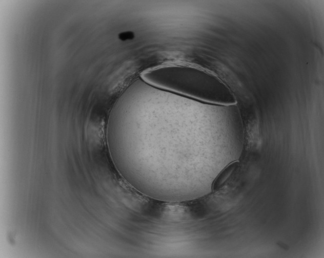 X0000103320376200809121153