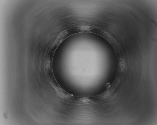 X0000103320379200809121154