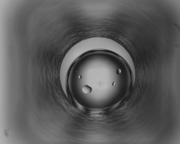 X0000103320380200809121154