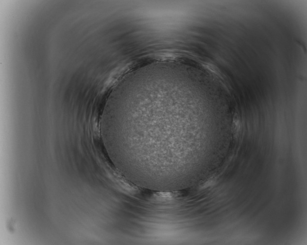 X0000103320381200809121154