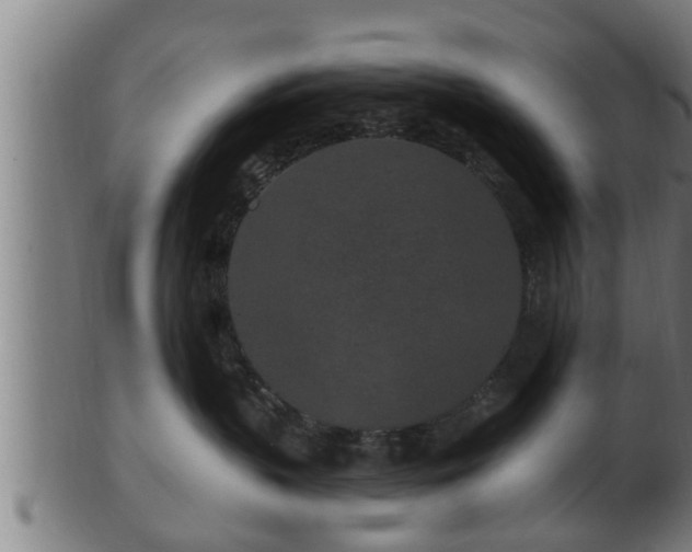 X0000103320383200809121154