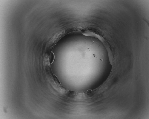 X0000103320384200809121154