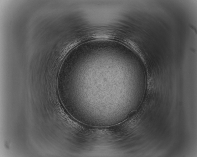 X0000103320385200809121153