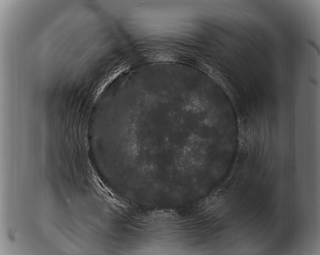 X0000103320386200809121153