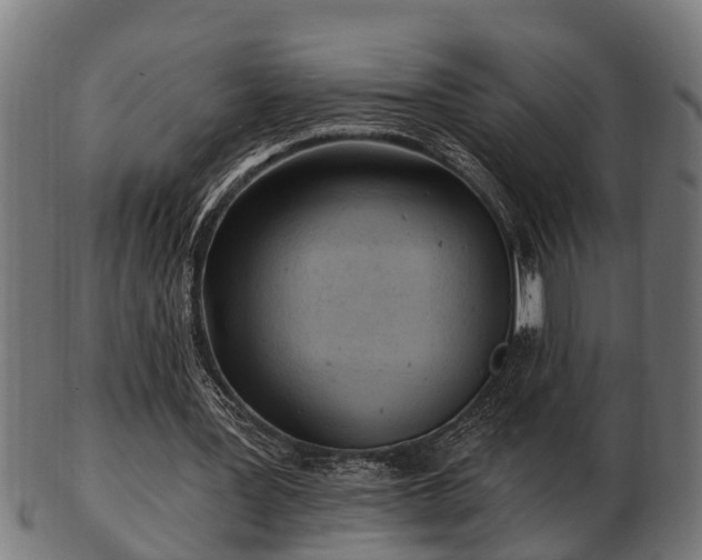 X0000103320387200809121153