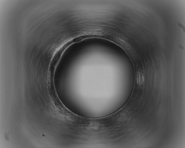 X0000103320388200809121153