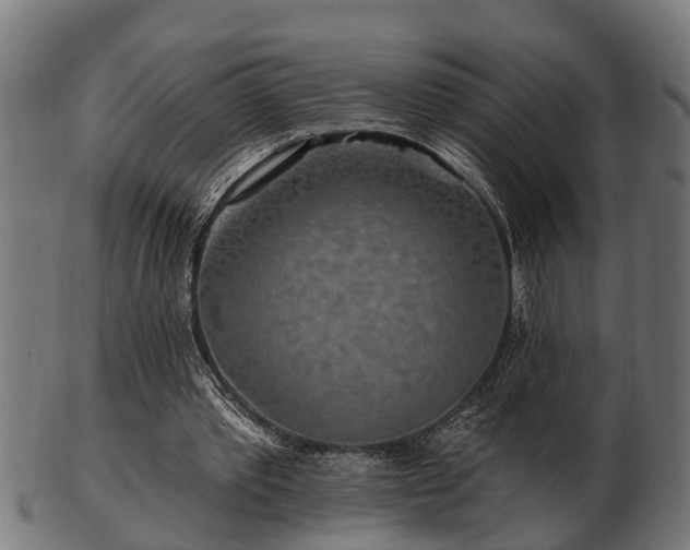 X0000103320389200809121153