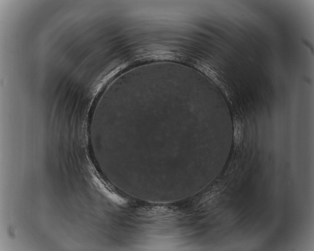 X0000103320390200809121153