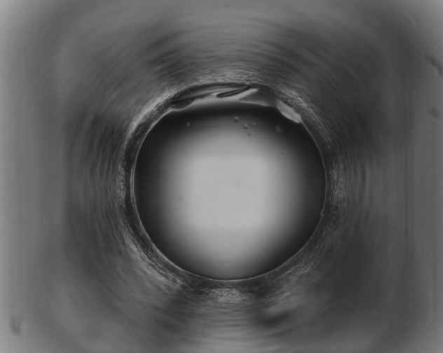 X0000103320392200809121153