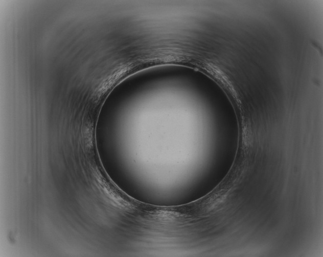 X0000103320393200809121153