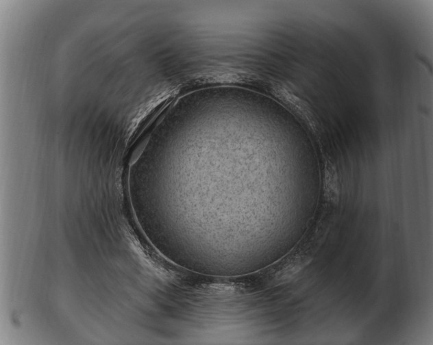 X0000103320394200809121152