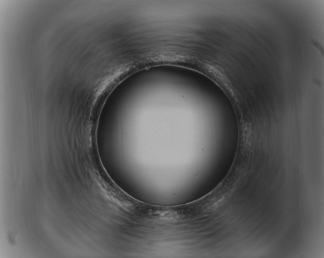 X0000103320395200809121152