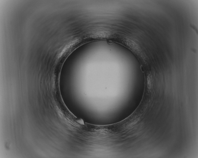 X0000103320396200809121152