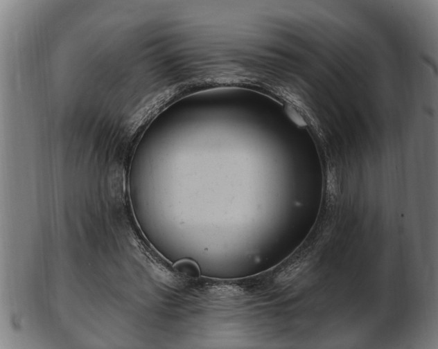 X0000103320397200809121152