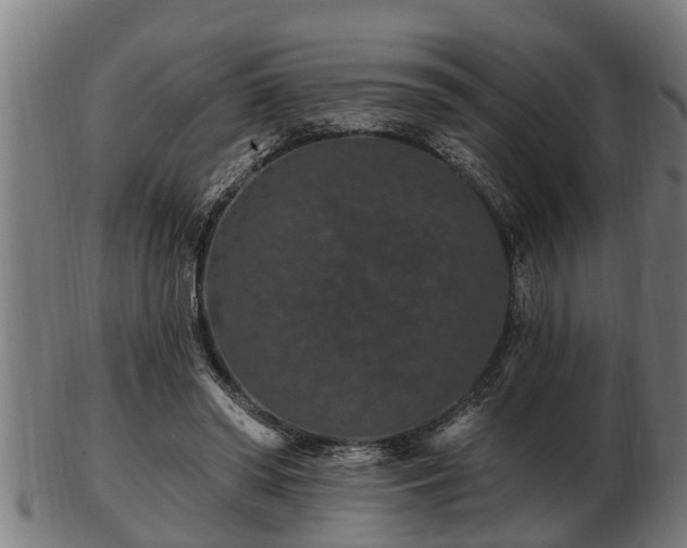 X0000103320398200809121152