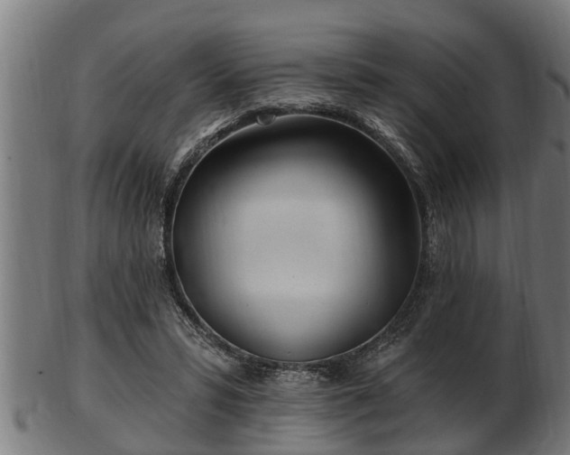 X0000103320399200809121152