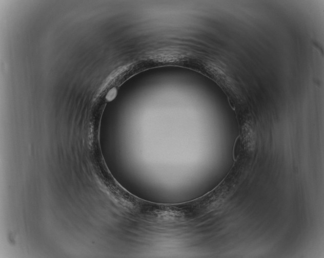 X0000103320400200809121152