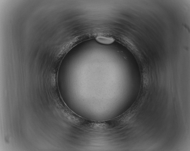 X0000103320401200809121152