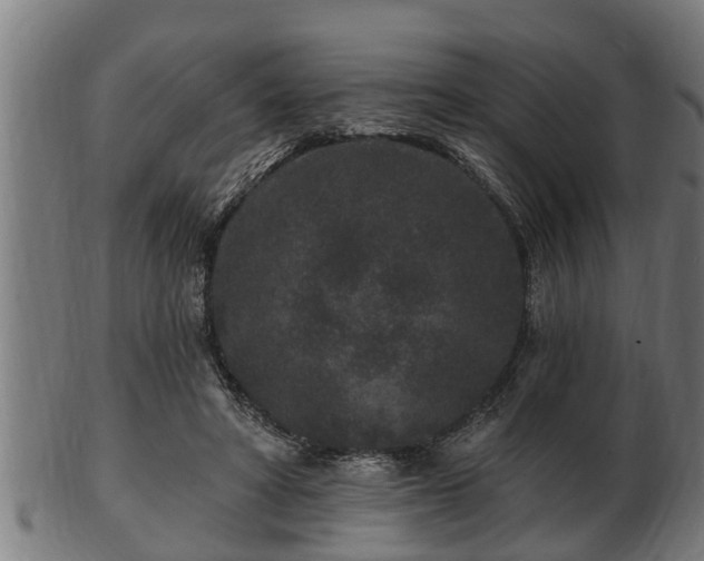 X0000103320402200809121152