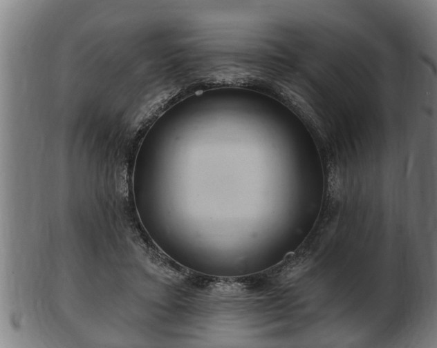 X0000103320403200809121152