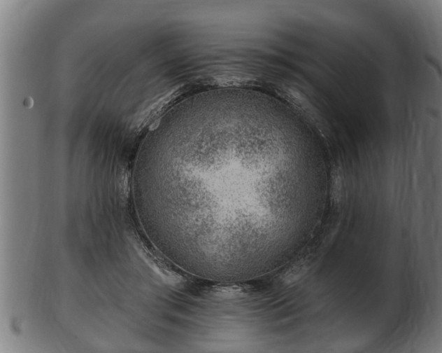 X0000103320405200809121152