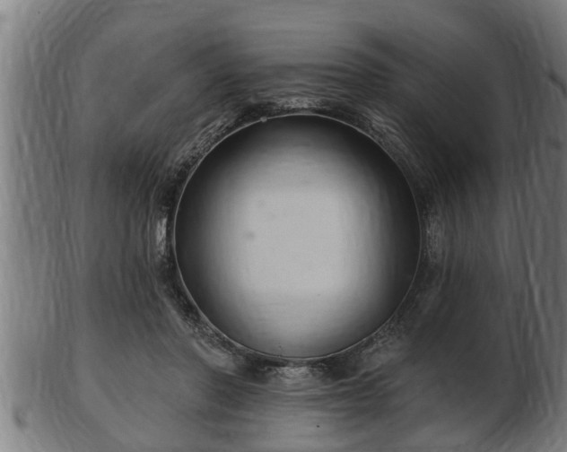 X0000103320406200809121152