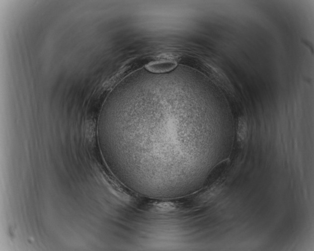 X0000103320409200809121152