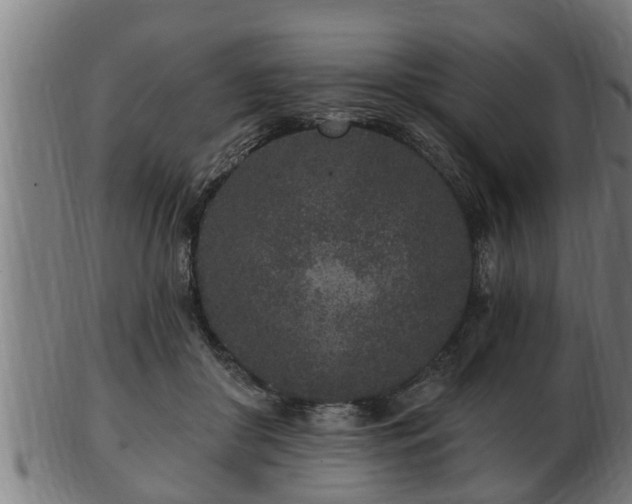 X0000103320410200809121152