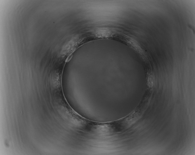 X0000103320411200809121152