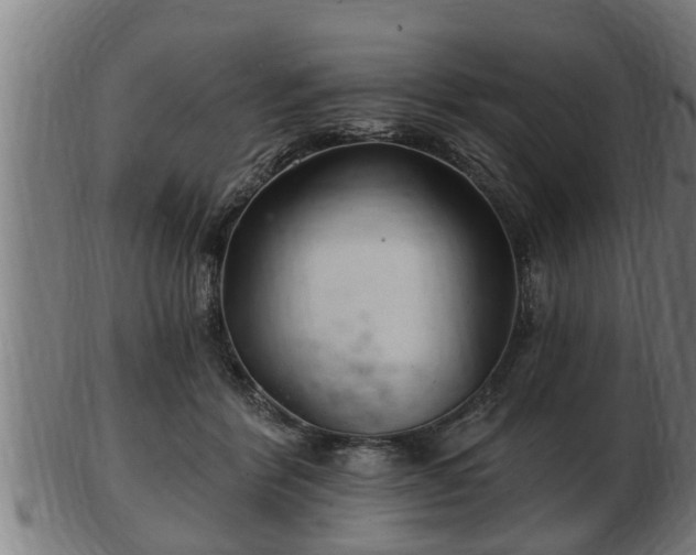 X0000103320412200809121152