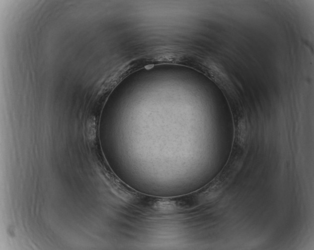 X0000103320413200809121152