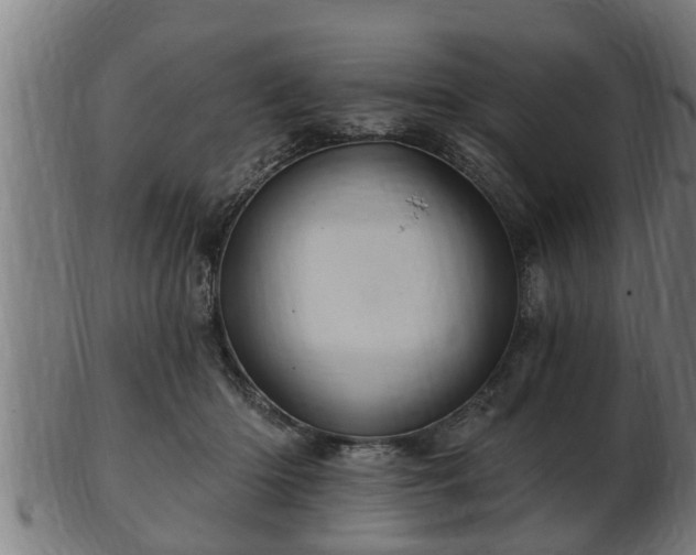 X0000103320414200809121152