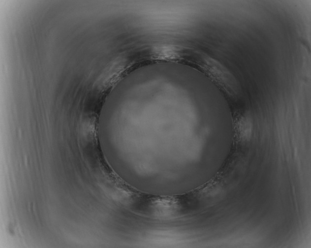 X0000103320415200809121152