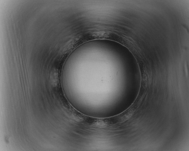 X0000103320416200809121152