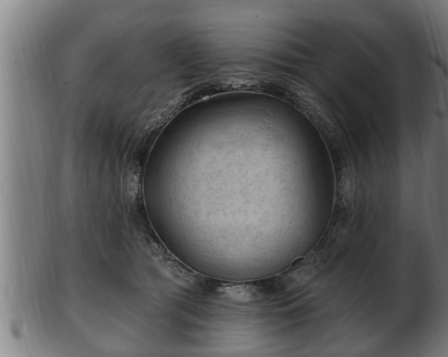 X0000103320417200809121152