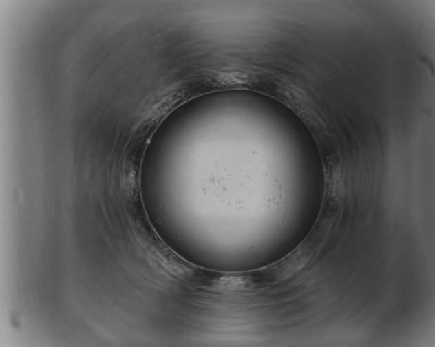 X0000103320418200809121152