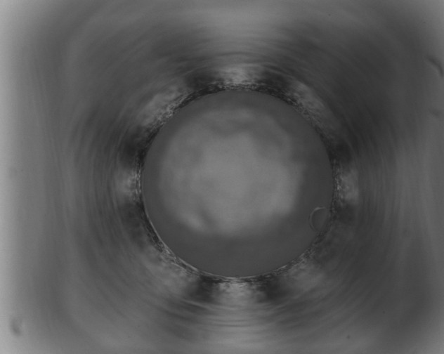 X0000103320419200809121152