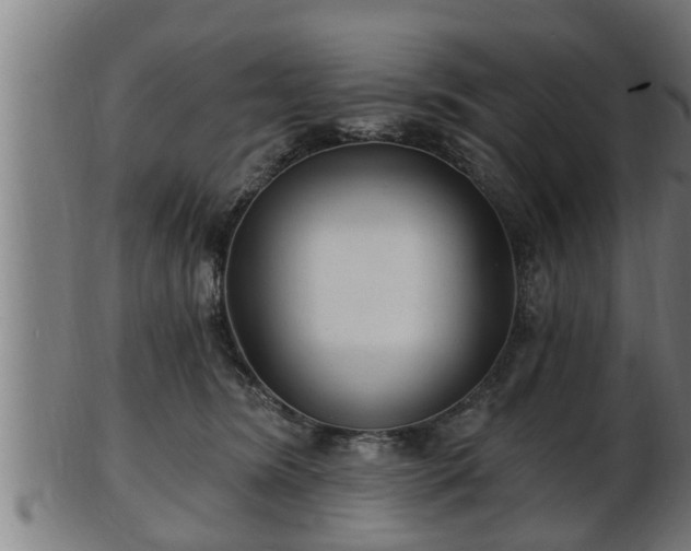 X0000103320420200809121152