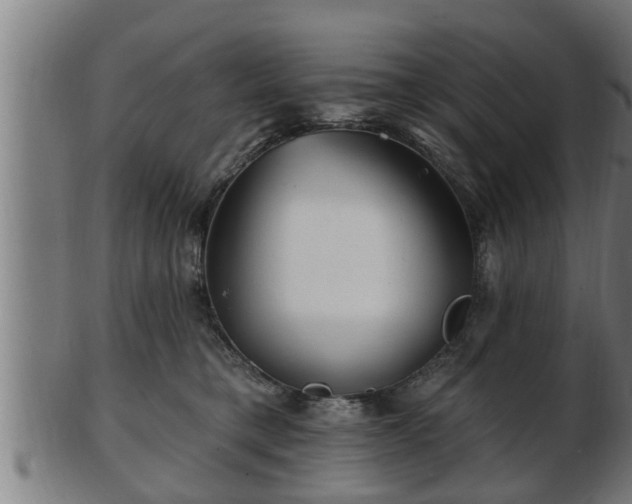 X0000103320421200809121152