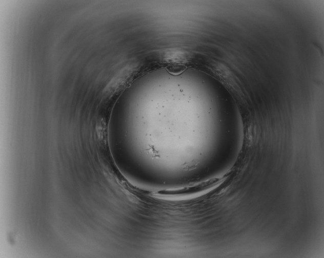 X0000103320424200809121152