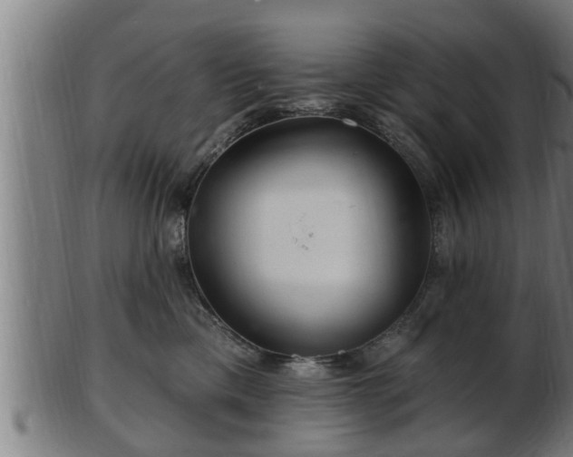 X0000103320425200809121152