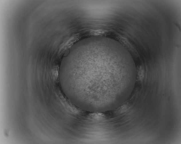 X0000103320427200809121152