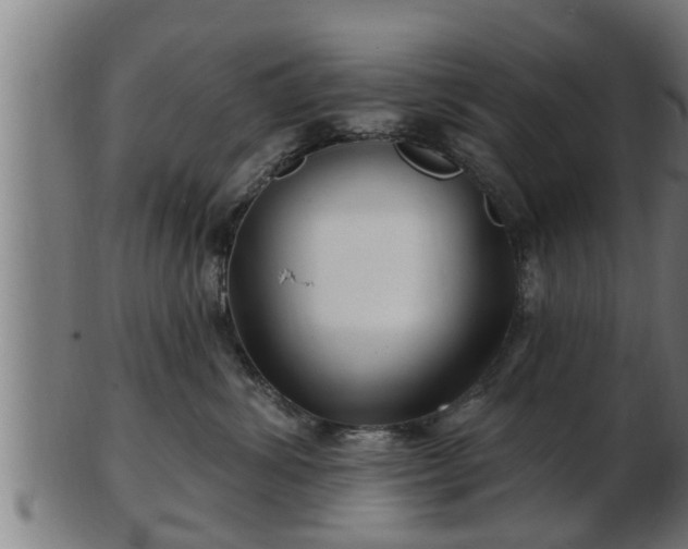 X0000103320428200809121152