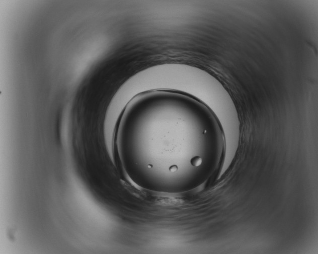 X0000103320429200809121152