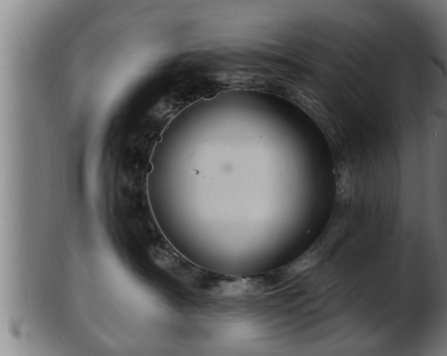 X0000103320430200809121152