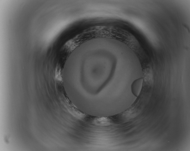 X0000103320431200809121152