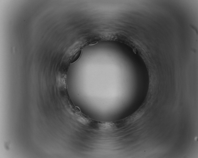 X0000103320432200809121152