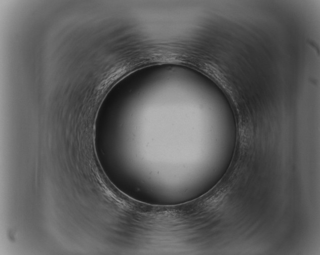 X0000103320433200809121151